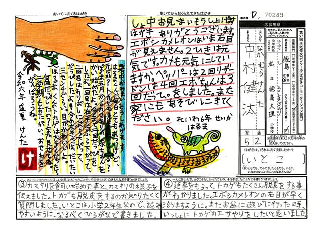 銅賞　徳島県　徳島文理小学校　5年　中村　健汰