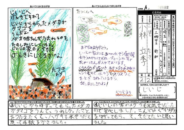 銀賞　埼玉県　三郷市立新和小学校　２年　小林　立季